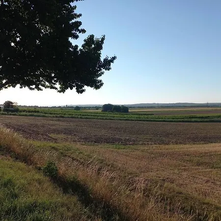 Διαμέρισμα Mit Grossem Innenhof Und Garten - Ideal Fuer Grosse Gruppen